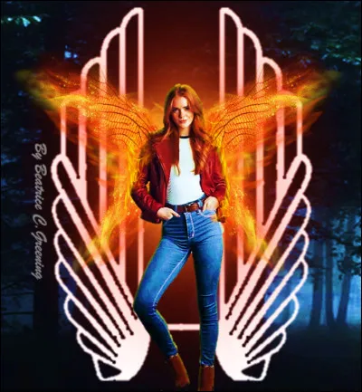 Quelle est la série représentée ?