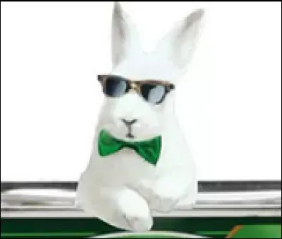 &Agrave; la rubrique "lapin", il y avait aussi celui-ci, qui nous mettait bien en bo&icirc;te...