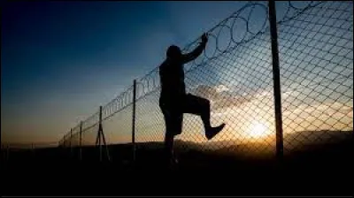 Comment Andy arrive-t-il à s'évader ?