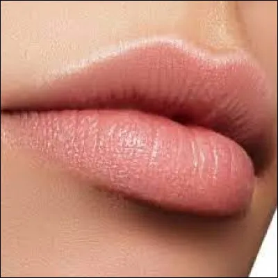 Qui est le deuxième garçon que Sophie a embrassé ?