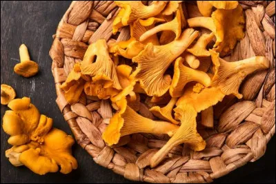 Quels sont ces champignons de couleur jaune-orangé ?
