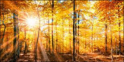 Définition : Période de beau temps en automne. Quel est votre choix ?