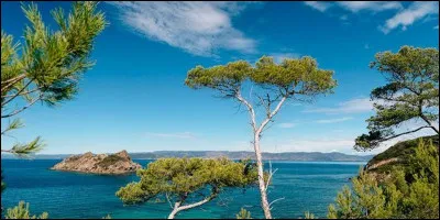 D&eacute;finition : Un des quatre points cardinaux, celui qui est oppos&eacute; au nord. Quel est votre choix ?