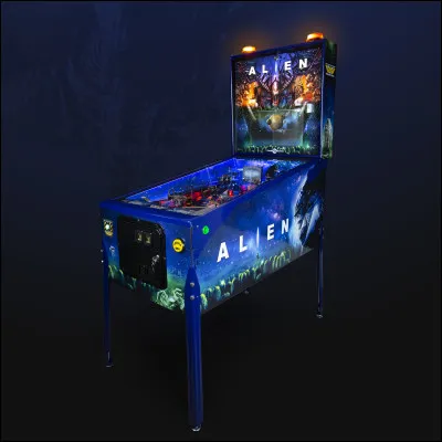 Quel est l'autre nom du flipper ?