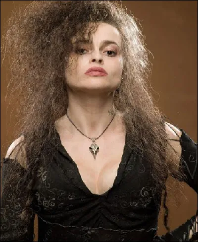 Dans quelle maison était Bellatrix Lestrange ?