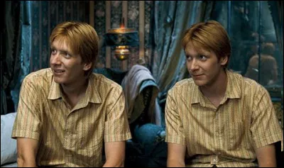 Dans quelle maison sont Fred et George ?