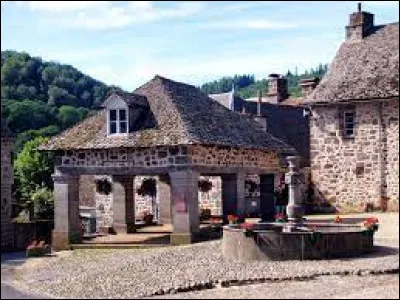 Nous sommes devant la halle de Saint-Martin-Valmeroux. Village Cantalien, dans la vallée de la Maronne, il se situe dans l'ex région ...