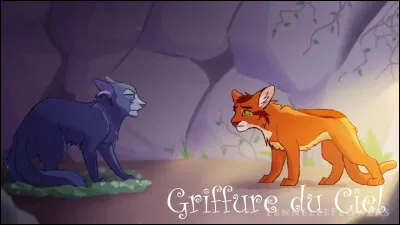 Ton chef a réussi à survivre et vous avez gagné cette guerre. À ce moment-là un ancien tousse très fort : une nouvelle maladie est arrivée au camp !