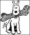 C'est Milou créé par Hergé, mais quelle est sa race ?
