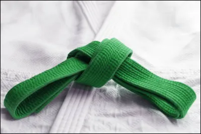 Au judo, de quelle couleur est la ceinture qui précède la ceinture verte ?