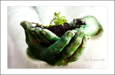 Que signifie l'expression "avoir la main verte" ?