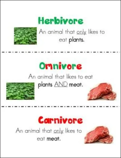 Tu aimerais que ton animal soit...