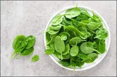 L'épinard est la meilleure source de fer alimentaire.