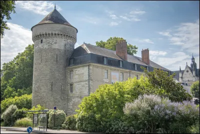 Sur la photo, c'est le château de la ville de Tours qui est représenté.