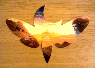 Quel don préférerais-tu avoir (1) ?