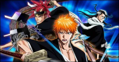 Qui est l'auteur de Bleach ?
