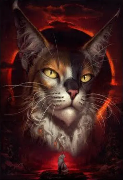 Un membre du Clan des Étoiles vient te rendre visite en rêve. C'est en réalité Étoile Bleue, et elle t'annonce une nouvelle prophétie. Le lendemain tu te réveilles, mais tu ne sais pas quoi faire, tu...