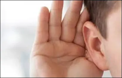 Comment l'oreille est-elle lorsque quelqu'un a une bonne ouïe ?