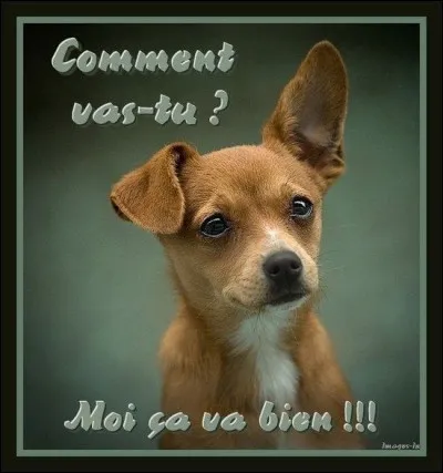 "Je ne vais pas mal. Mais rassurez-vous, un jour, je ne manquerai pas de mourir." 
Qui a voulu inquiéter ses adversaires avec cette citation ?
