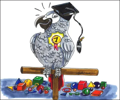 Le célèbre Alex est de quelle sorte ?