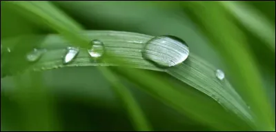 Si vous le voulez, récitez à haute voix : "Moi je t'offrirai des perles de pluies, venues de pays où il ne pleut pas..." et vous penserez immédiatement à :