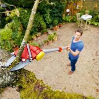 Le sécateur à main, sécateur de force et couteau-scie existent aussi sur perche (afin d'atteindre des branches assez hautes).