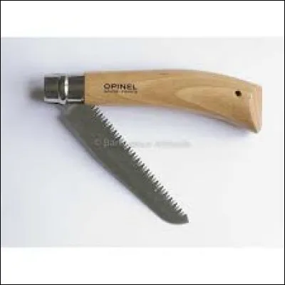 Parfait pour couper d'assez grosses branches sans faire de bruit.