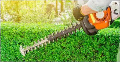 Une taille géométrique d'arbuste ou d'arbrisseau ? Utilisez...