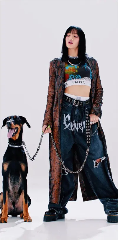 De quelle couleur était la doudoune que Lisa portait vers le début du clip ?