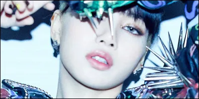 De quelle couleur étaient les ongles de Lisa lors de son rap ?