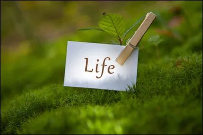 Quelle serait la pire chose qu'il puisse t'arriver ?