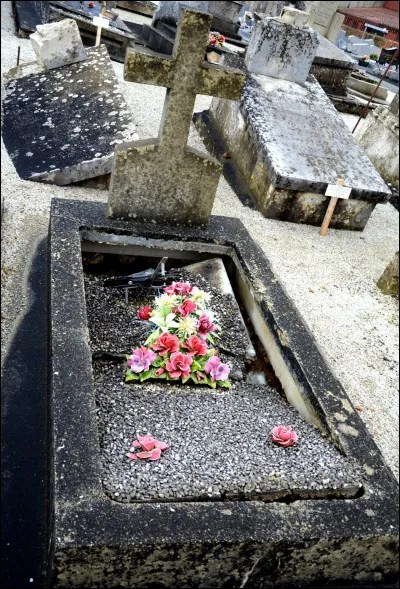 Ta cousine, que tu ne connais pas, meurt. Que fais-tu ?