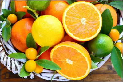 Quel est le nom scientifique des agrumes ?