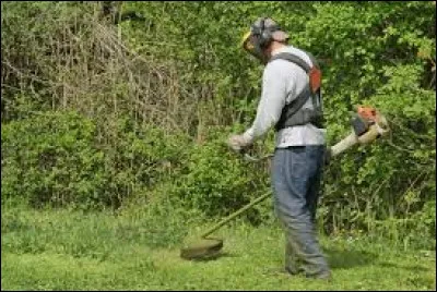 Idéale pour faucher les quelques herbes restantes après une tonte de gazon !