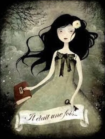 À quoi fait penser cette image ?