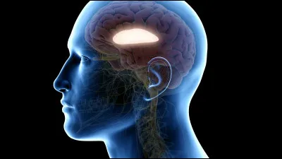 Qui est la personne la plus intelligente de la série ?