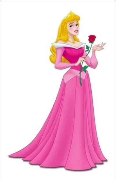 Qui est cette princesse Disney ?
