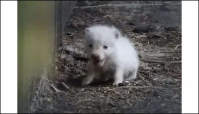 Mettez un nom sur cet adorable bébé !