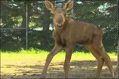 Prenez le vôtre pour trouver son identité !