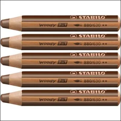 De quelle couleur sont ces crayons de couleur ? Ils sont...