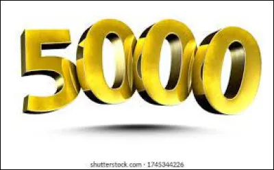 Avec quoi se joue le jeu 5000 ?