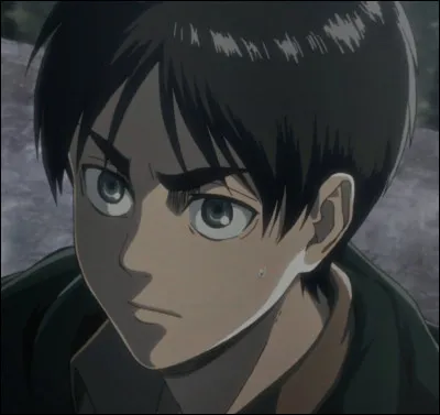 O&ugrave; Eren a-t-il &eacute;t&eacute; enterr&eacute; &agrave; la fin du manga ?