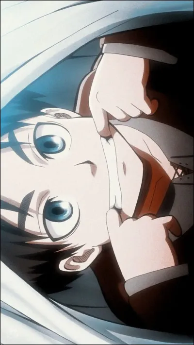 Quel est le r&ecirc;ve d'Eren ?