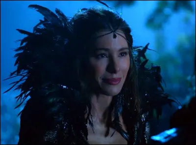 Pourquoi Fiona devient-elle la f&eacute;e noire ?