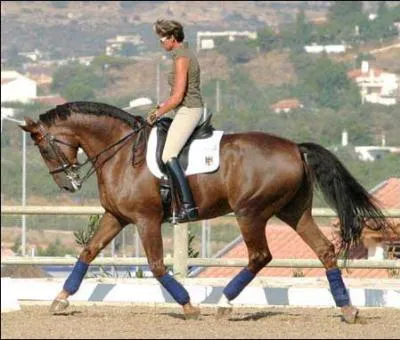 Quel trot n'existe pas ?