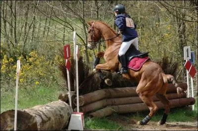 Quelles sont les disciplines questres du concours comlpet ?