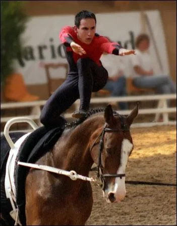 Comment appelle-t-on la 'gym  cheval' ?