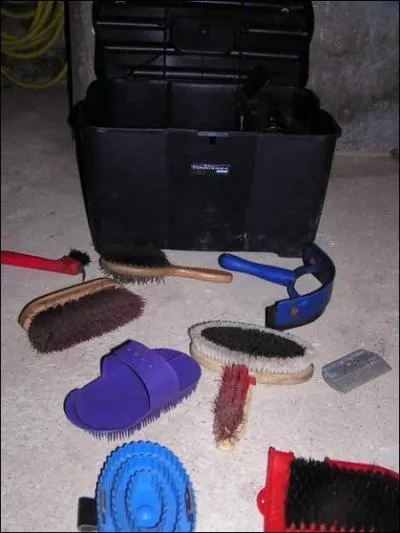 Quel est l'ordre du pansage rapide ?