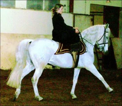 Que veut dire monter en 'amazone' ?