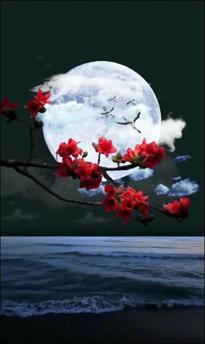 Qui a écrit "Vol de nuit" ?